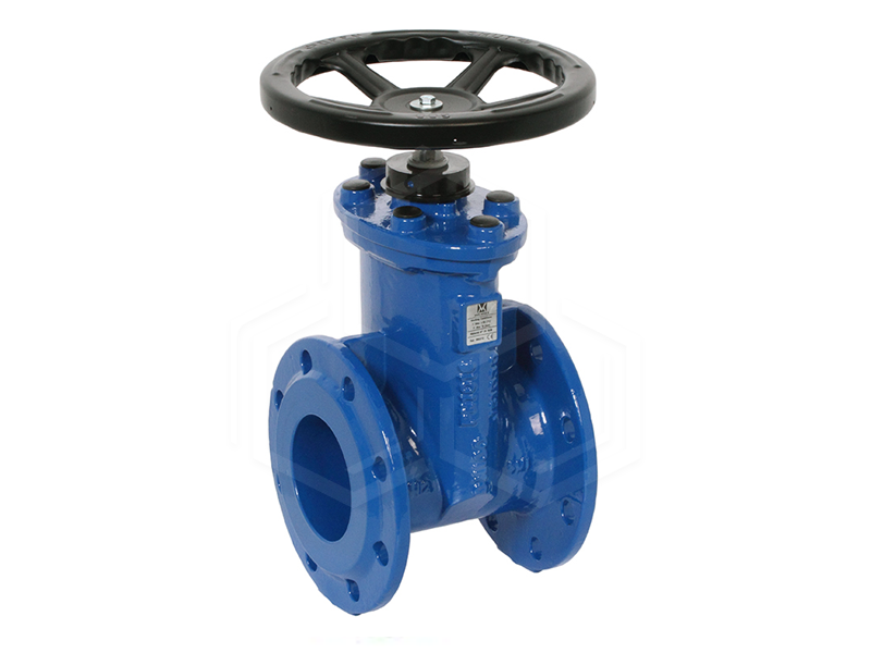Gate Valve