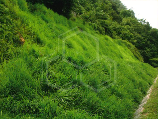 EROSION CONTROL BLANKET